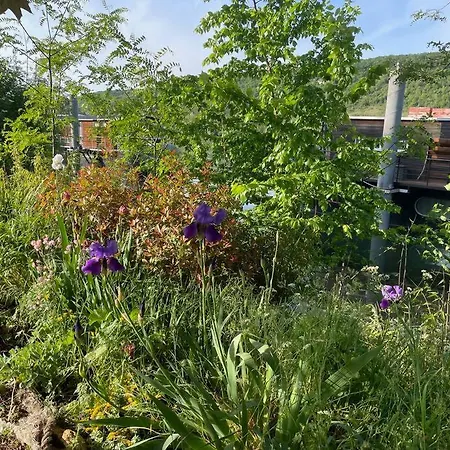 Maison Fleurs De Lys, Climatisee, Wifi Et Parking Privee Gratuit, Lave-linge, Giverny * ヴェルノン